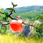 コインベースCEO「Appleは仮想通貨業界に敵対的」