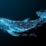 ビットコインクジラの動向分析、昨年最高値14000ドルがキーポイントに