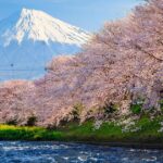 文化庁の分科会、「NFTの法的課題」が議題に