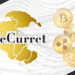 ディーカレット、脱炭素化推進に向けた協同実証実験を実施　