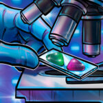 NFT市場、過去24時間の出来高が3割減