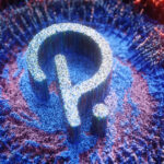 国内大手取引所コインチェック、ポルカドット（DOT）取り扱いへ