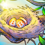 ビットコインのショートスクイーズは「終わっていない」、BTC価格は週足で17％上昇