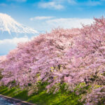 関西の大手私鉄4社、限定NFTを入手可能な「駅めぐりイベント」に参画