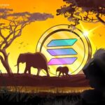 ソラナ、アフリカ仮想通貨市場の成長を促進＝フリンキャップ幹部