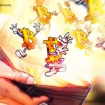 100ドル以上を保有するビットコインウォレットが過去最高に近づく＝バイナンス