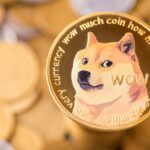 米大統領選後のドージコイン価格高騰で中国採掘機器メーカーが需要急増に対応できず