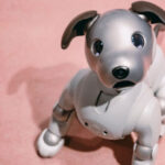 ソニーの犬型ロボット「aibo」、ソニュームで公式デジタルコレクションのSBTがローンチ