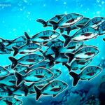 米国の仮想通貨ETF70本超が今年SEC審査待ち──ブルームバーグ